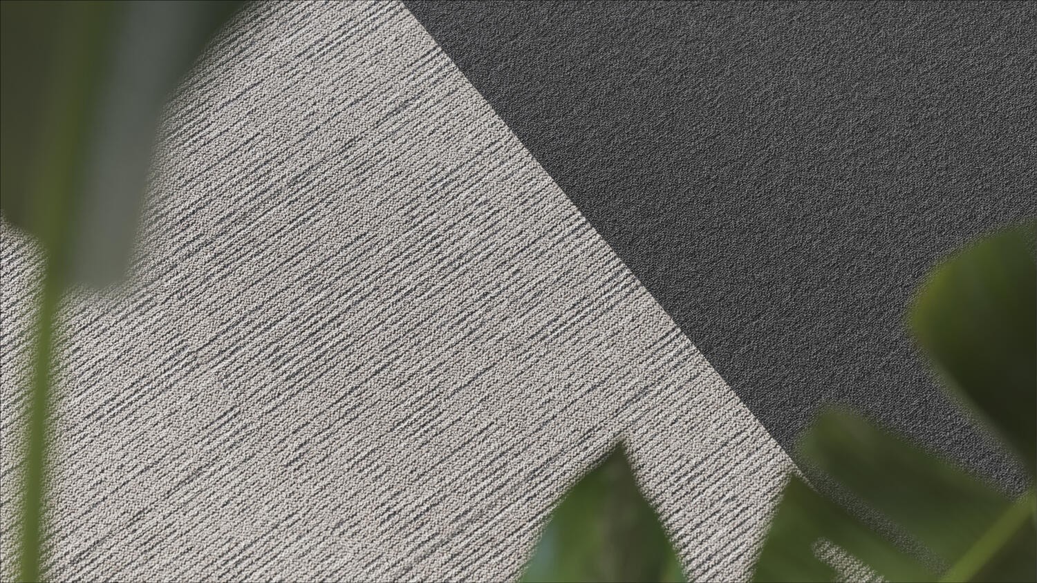 Traces